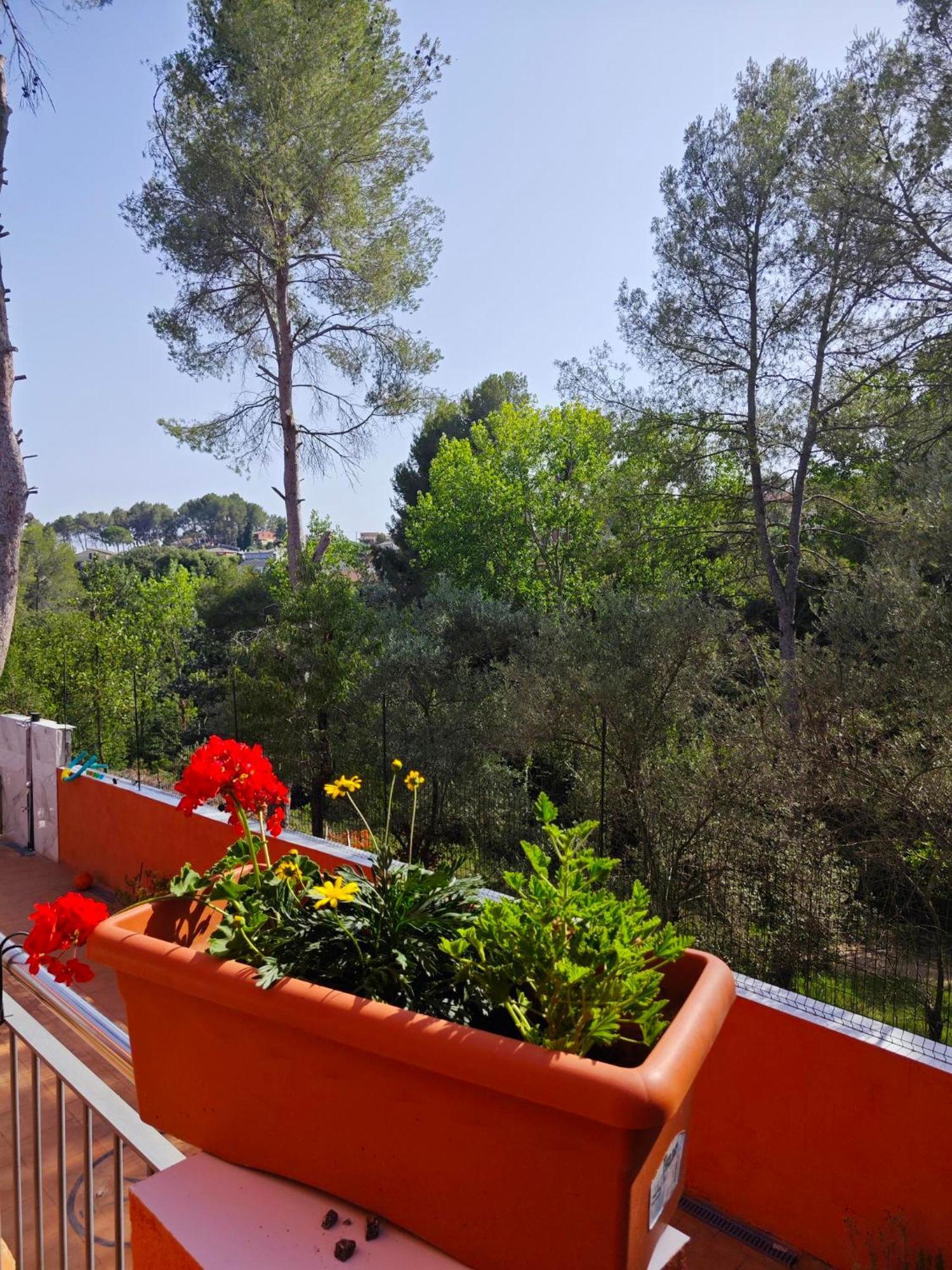 Relax House Barcelone Villa Sant Esteve Sesrovires Buitenkant foto